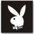 bunnyblack2.jpg