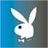 bunnyblue2.jpg