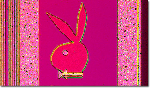 colorfulplayboy.jpg