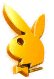 goldbunny.jpg