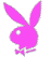 greenbunny.gif