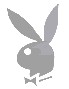 silverbunny.jpg